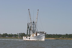 saltwater fishing boats